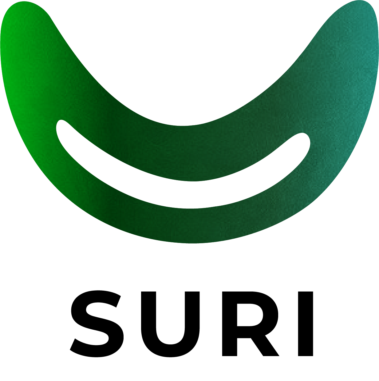 Aperçu de la page d'accueil du projet Nova Studio